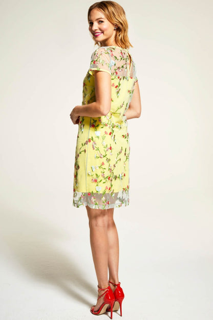 Embroidered Cap Sleeve Party Dress