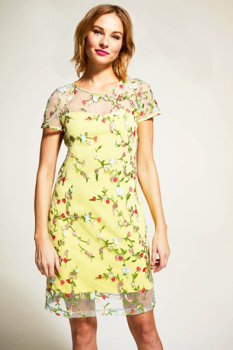 Embroidered Cap Sleeve Party Dress